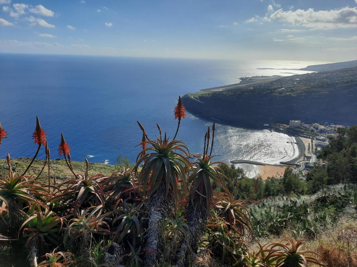 Sunny Beach Machico Apartment By Hr Madeira Exteriör bild
